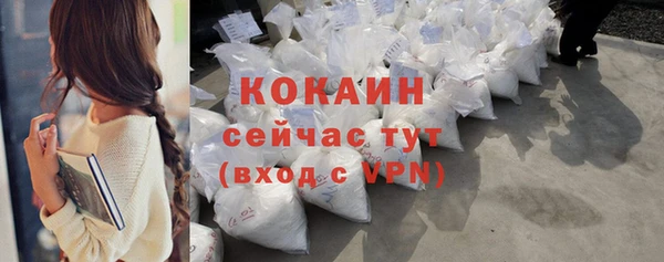 крисы Армянск