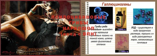 ALPHA PVP Пролетарск