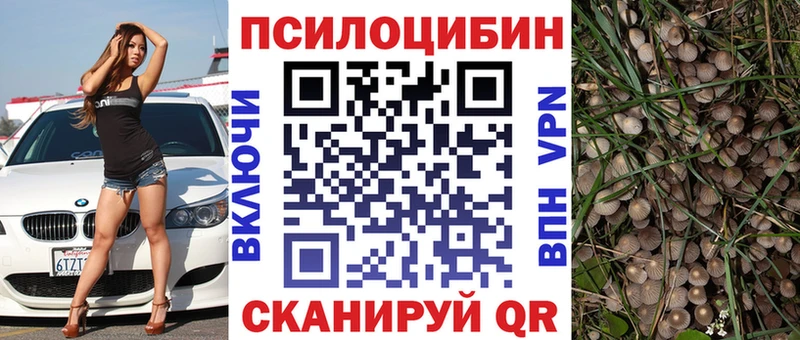 Псилоцибиновые грибы MAGIC MUSHROOMS  OMG как зайти  Спас-Деменск 