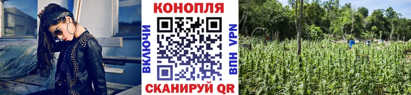 нарко площадка состав  Спас-Деменск  Шишки марихуана MAZAR  как найти закладки  ОМГ ОМГ tor 